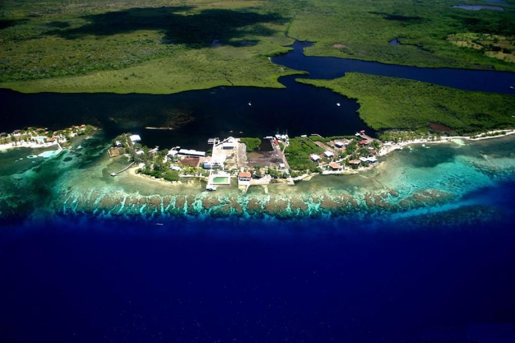 Coral View Beach Resort Utila Eksteriør bilde