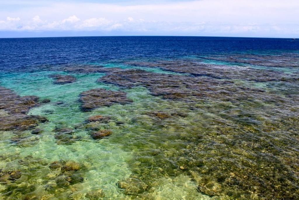 Coral View Beach Resort Utila Eksteriør bilde